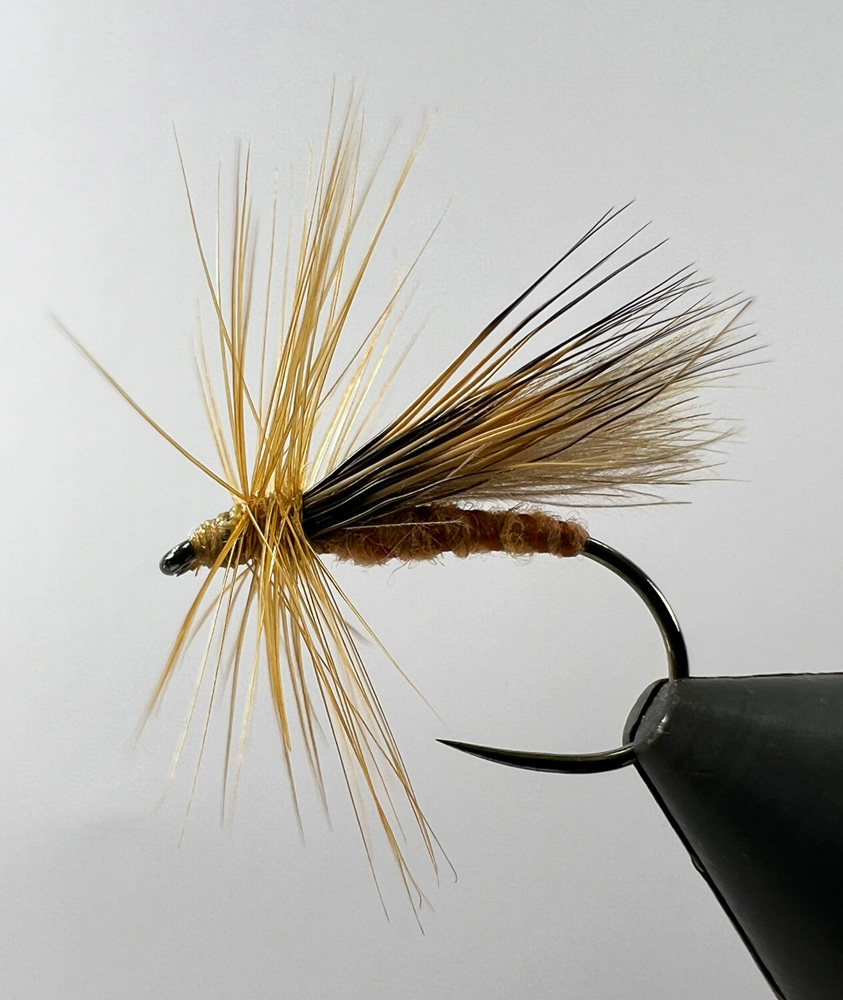 Cinnamon Sedge