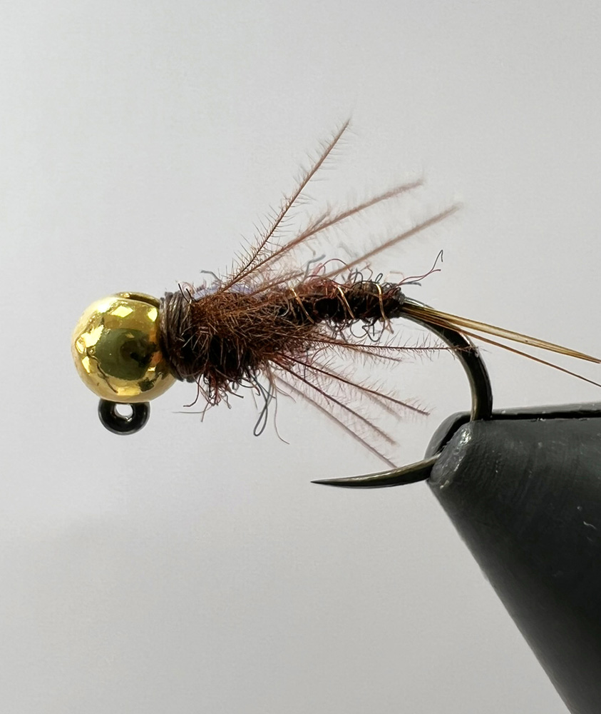 Grayling Brown