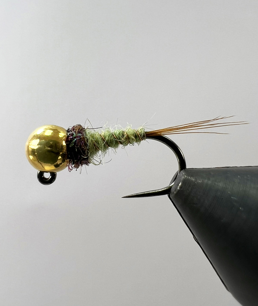 Sedge Pupa Green